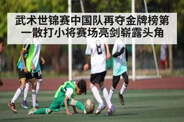 武术世锦赛中国队再夺金牌榜第一散打小将赛场亮剑崭露头角